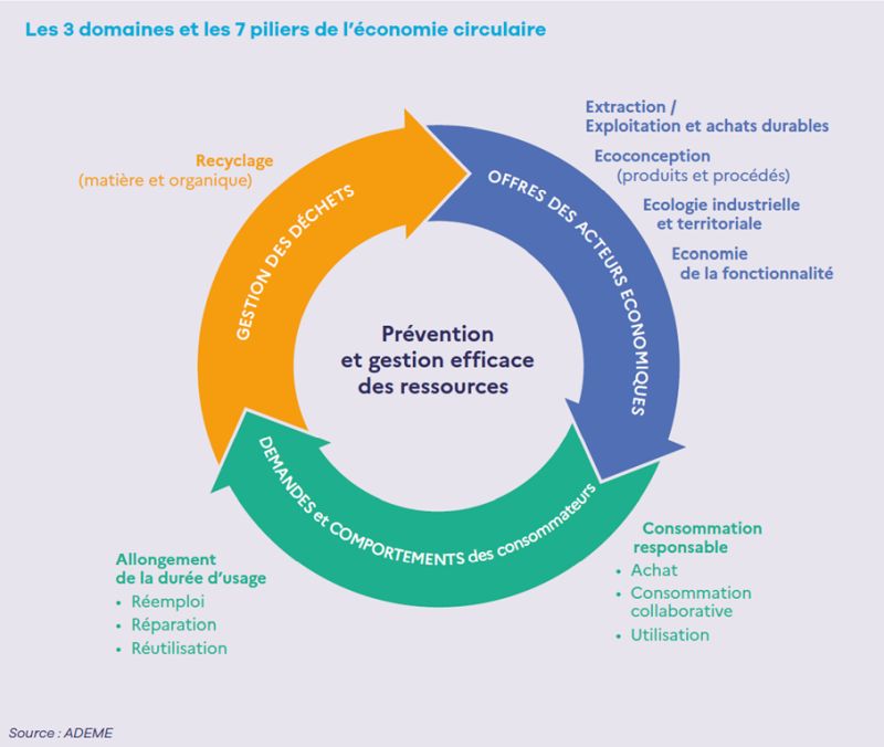 Economie circulaire : les cadres, acteurs clés de la durabilité